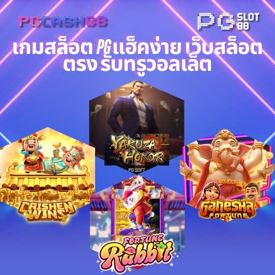 pgทดลอง